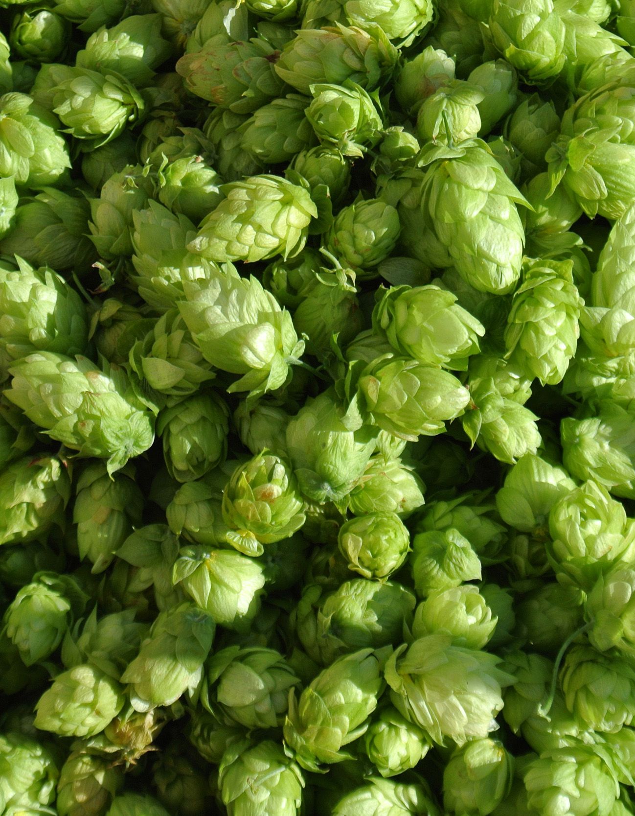 Natürliche Rohstoffe